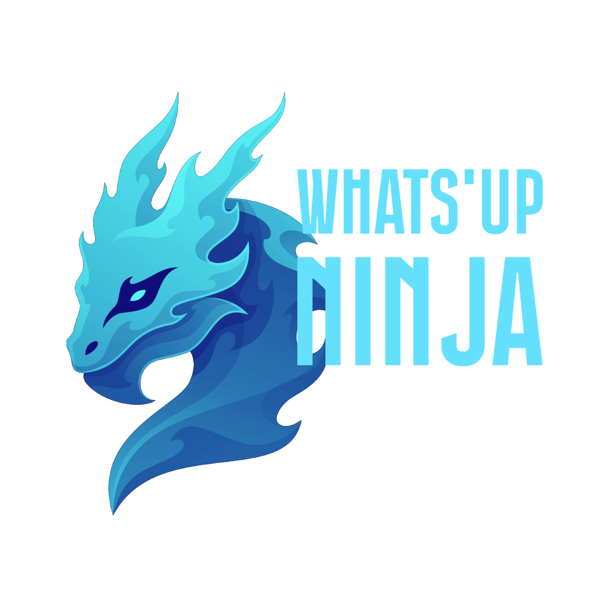 WhatsUpNinja